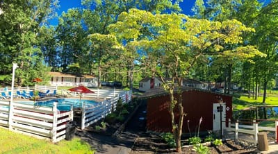 Outdoor pool area surrounded by trees and seating