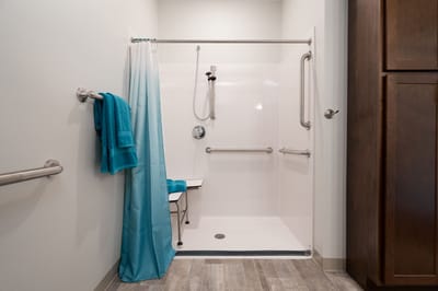 Accessible shower in a modern bathroom