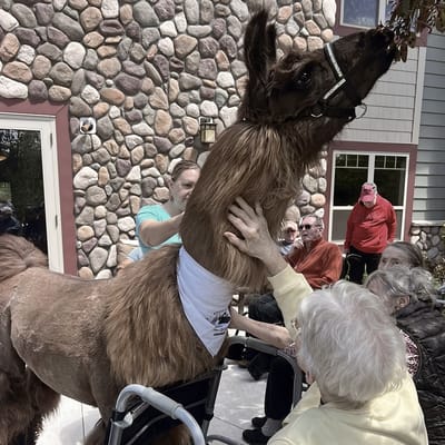 Residents interacting with a therapy animal outdoors