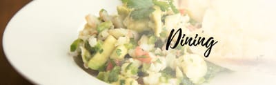 Close-up of a food dish with 'Dining' text overlay