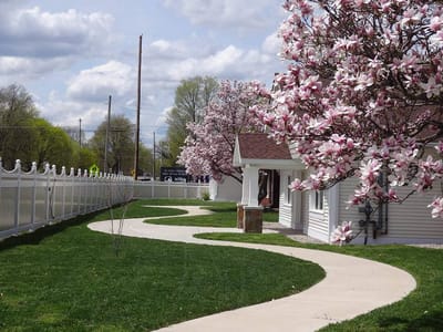 Pathway lined with blooming trees in a serene outdoor space