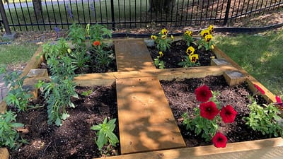 Colorful flowers in a raised garden bed