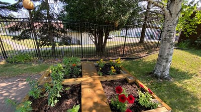 Flower garden with vibrant blooms near a fence