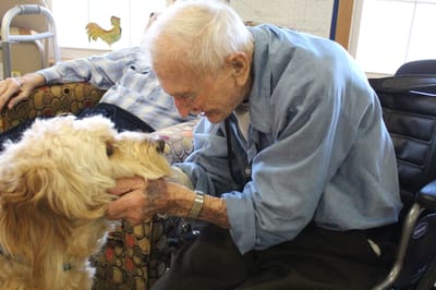 An elderly man interacting with a dog in a cozy setting