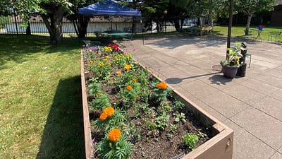 Flower garden in an outdoor space at The Waterview Shores Assisted