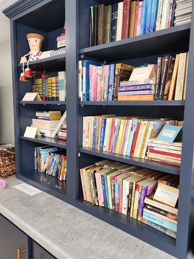Bookshelves filled with various books and a doll.