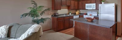 A well-furnished kitchen in a resident unit
