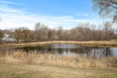 Serene view of a pond surrounded by trees in a natural setting