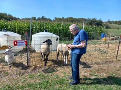 Resident feeding animals in an outdoor area