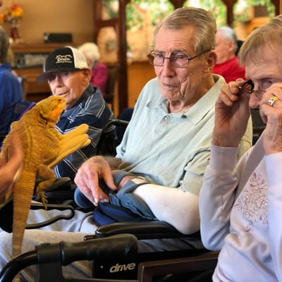 Residents interacting with a lively pet during an activity