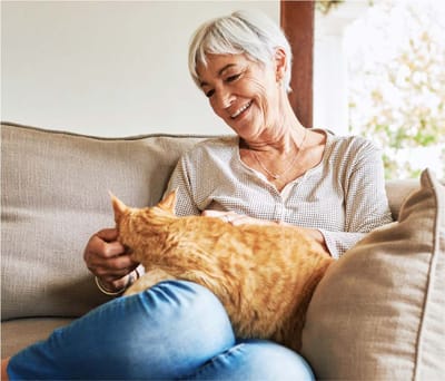 Senior woman interacting with a cat in a cozy setting