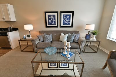 Cozy living room with modern decor