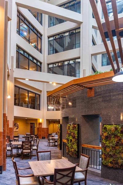 Interior view of the dining area with seating