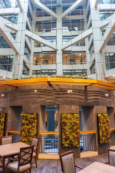 Interior view of a bright common area with greenery