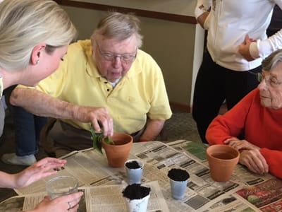 Residents participating in a gardening activity indoors