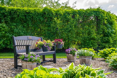 A charming outdoor bench surrounded by flowers