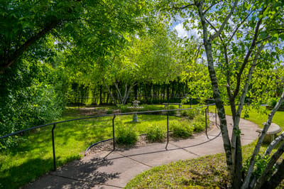 Serene garden path surrounded by green trees
