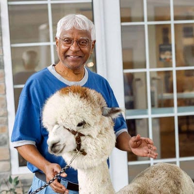 Resident interacting with an alpaca in a common area