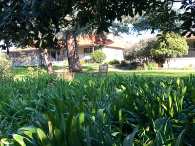 Garden area with seating and buildings in the background.