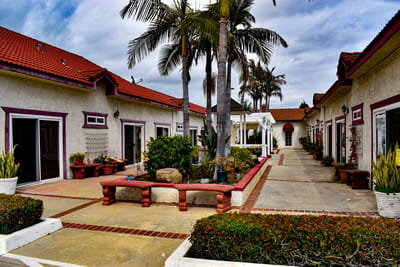 Courtyard with palm trees and pathways