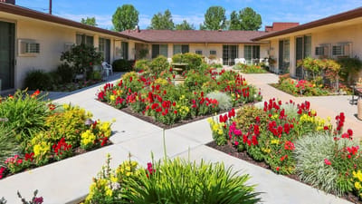 Beautiful garden area with colorful flowers and pathways.