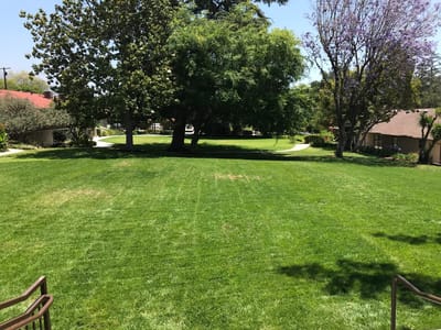 Spacious green lawn in a care facility