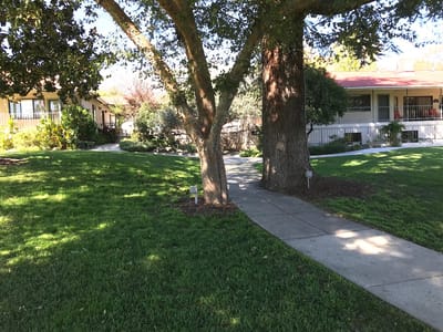 Pathway through a landscaped outdoor area