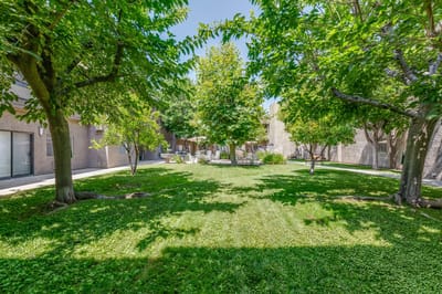 A lush green courtyard with trees and seating areas.
