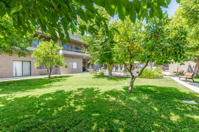 Outdoor area with trees and seating.
