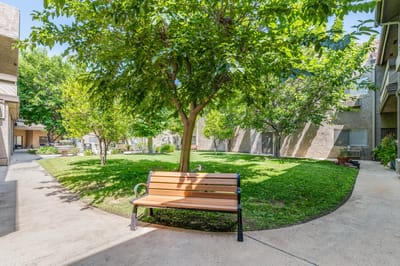 Lush garden with a bench in a sunny area