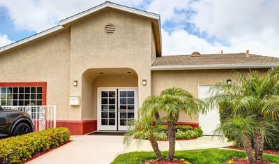 Exterior building entrance with palm trees