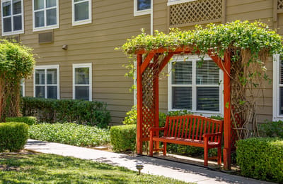 Outdoor sitting area with a bench and greenery