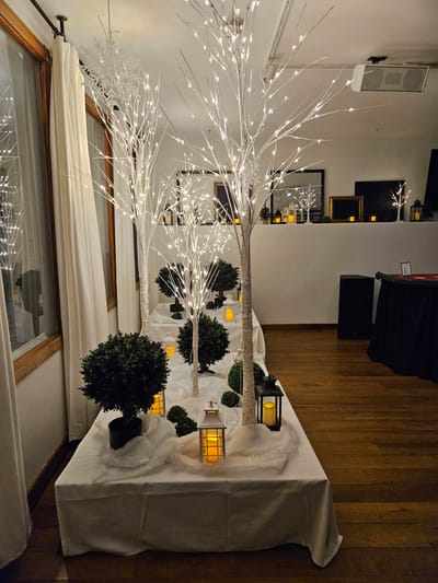 Decorative indoor setup with illuminated trees and lanterns.