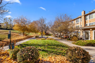 Beautiful outdoor pathway lined with trees and autumn leaves.