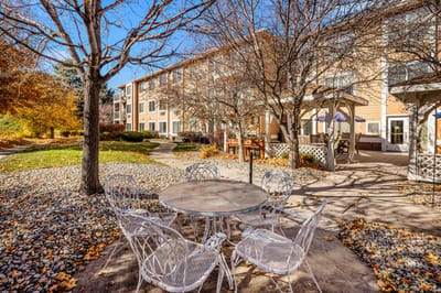 Outdoor seating area with trees and pathways