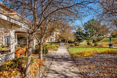 Pathway lined with trees and autumn leaves