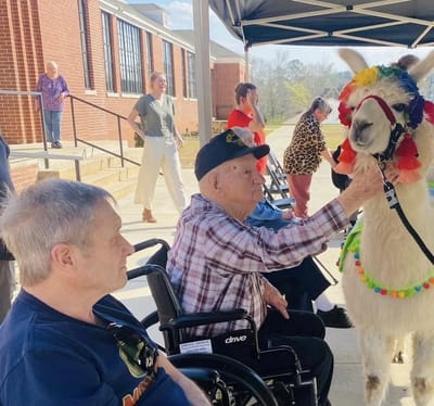 Residents interacting with a llama during an event.