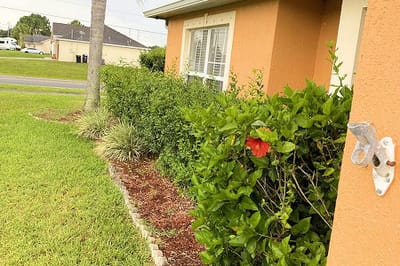 Exterior view of the facility garden and building.