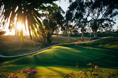 Scenic view of a golf course at sunset.