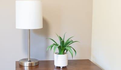 Lamp and plant on wooden table in room.
