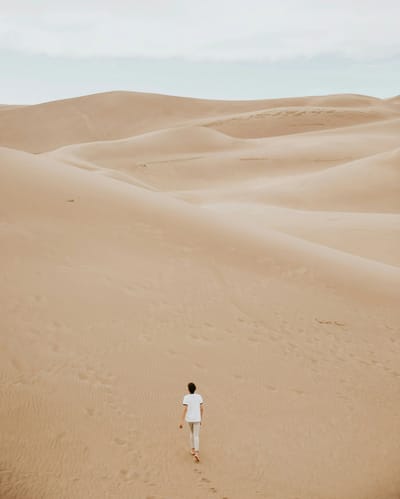 Person walking in a vast sandy landscape.