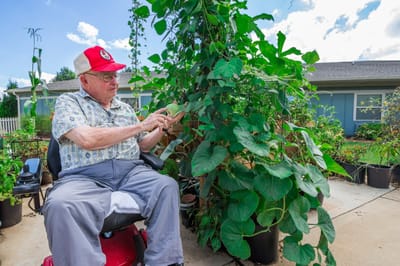 Elderly man gardening in an outdoor space.