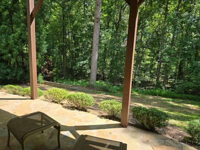 Outdoor view of green trees and landscape.