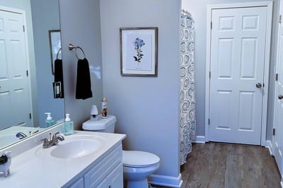 Private bathroom with floral artwork and shower curtain.
