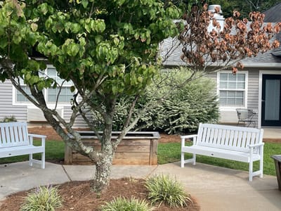 Outdoor seating area with a tree and benches