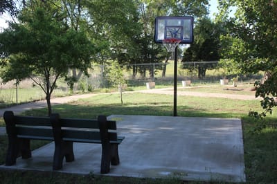 Basketball hoop and bench in a green outdoor space.