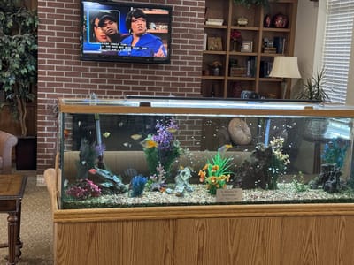 Aquarium in a common area with a TV in the background.