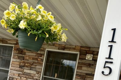 Hanging flowers near entrance of residential area.