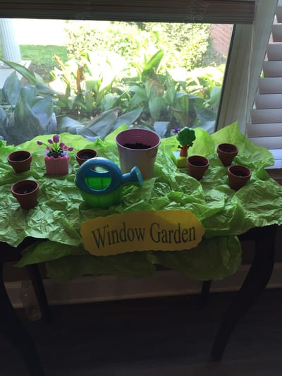 Table display with pots and decorations in a window garden theme.