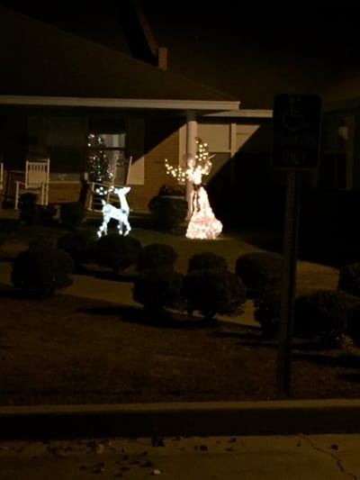 Decorative holiday lights on the lawn